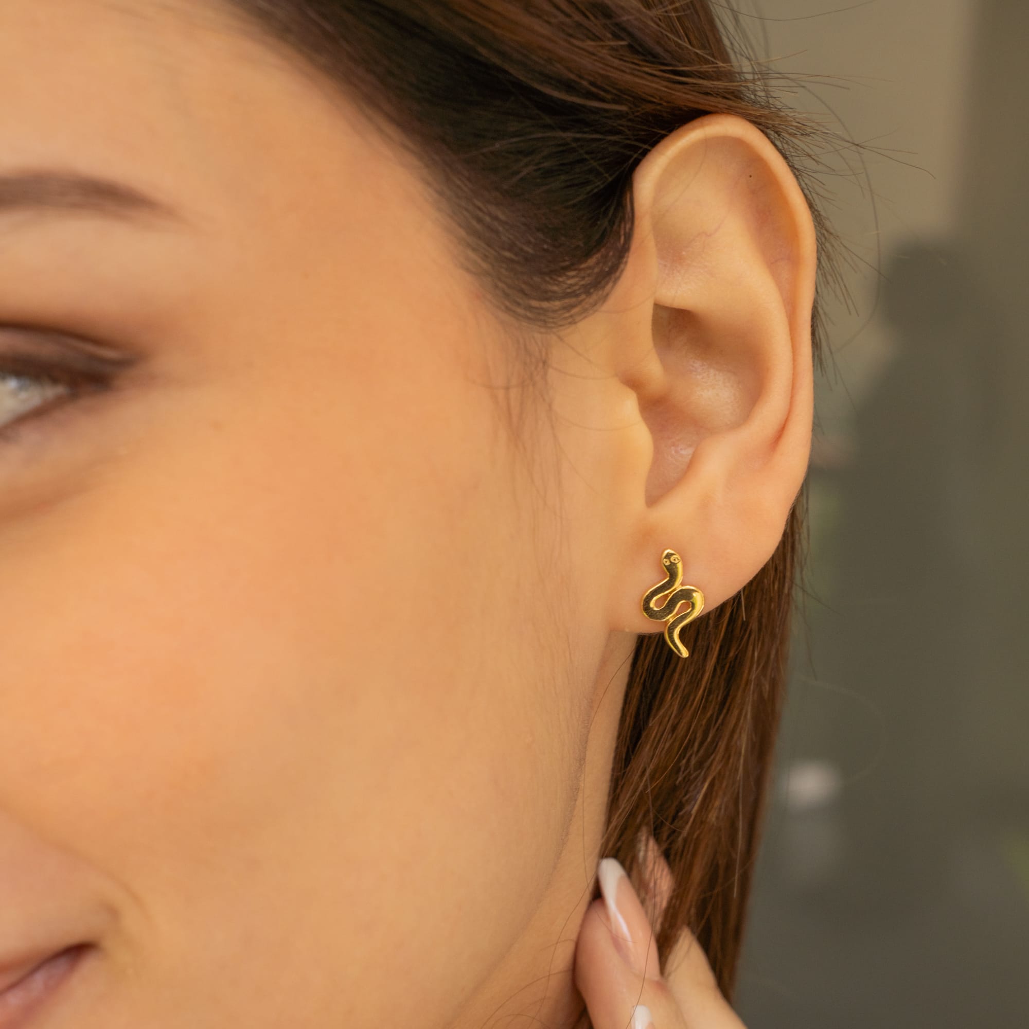 Aretes Serpiente