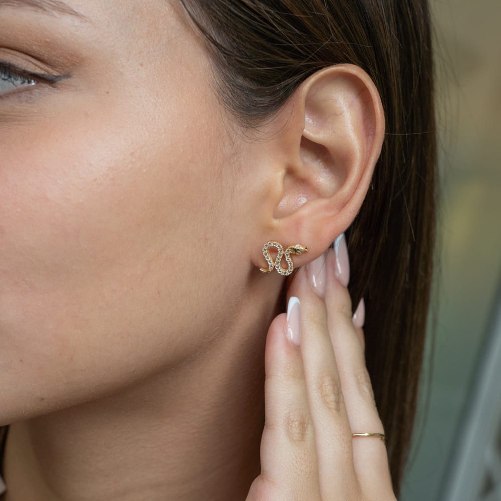 Aretes Serpientes con Circones